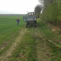 img-20170401-wa0018.jpg