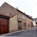 eckelsheim_122.jpg
