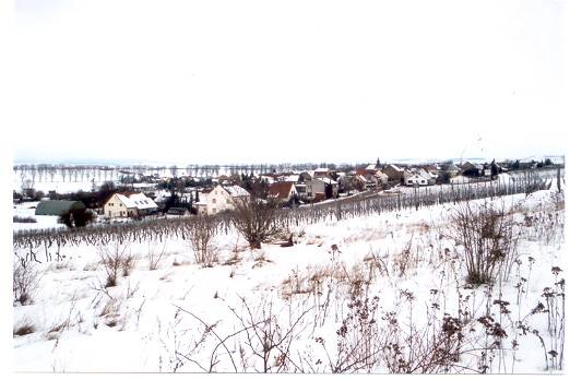 eckelsheim_21.jpg