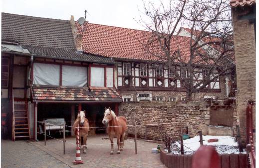 eckelsheim_23.jpg