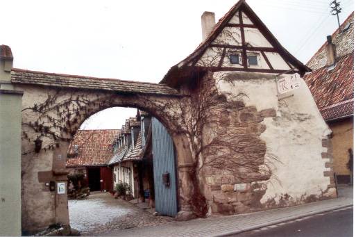 eckelsheim_48.jpg