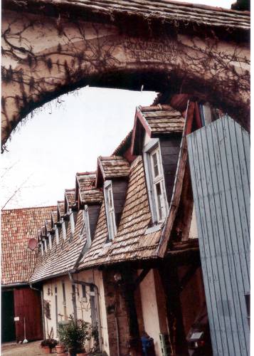 eckelsheim_55.jpg