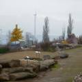 herbst_spds_1_.jpg