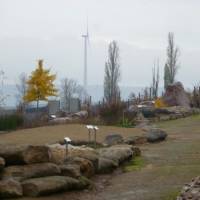 herbst_spds_1_.jpg