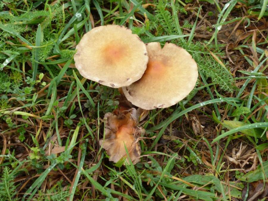 k1024_p1300586.jpg