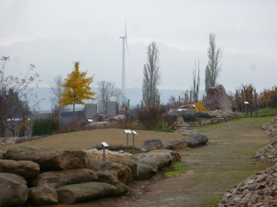 k1024_p1300761.jpg