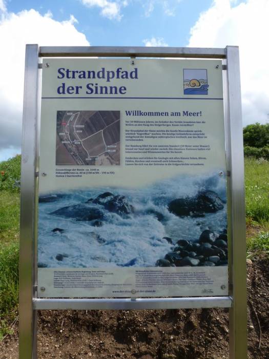 strpfd_4_.jpg