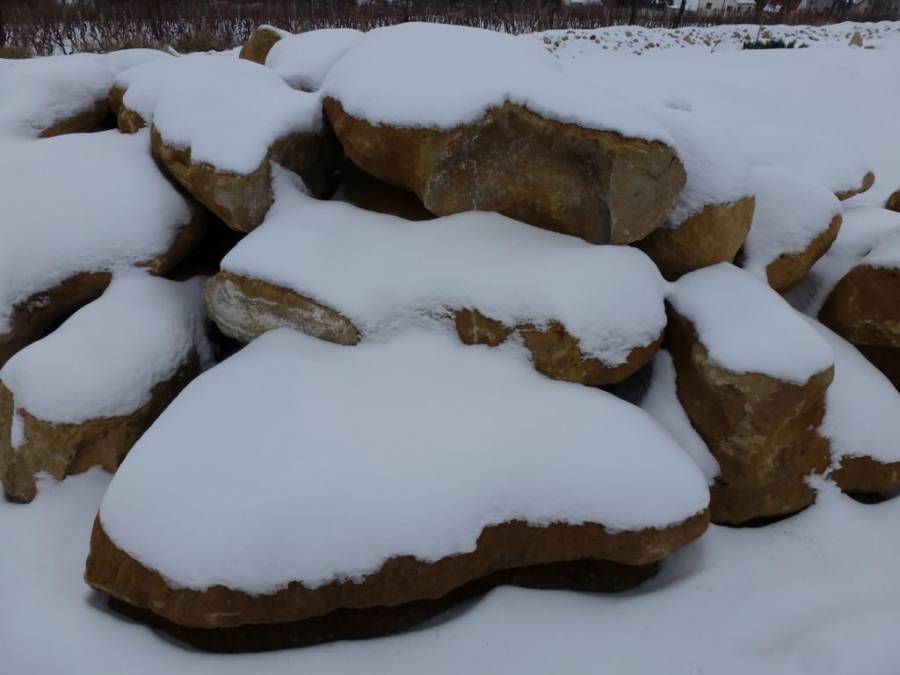 spds14_10_.jpg