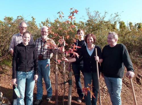 amberbaum2.jpg amberbaum2.jpg