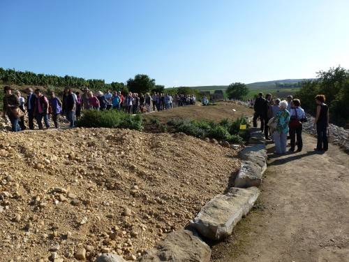 p1020512.jpg p1020512.jpg