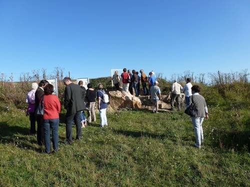 p1020549.jpg p1020549.jpg