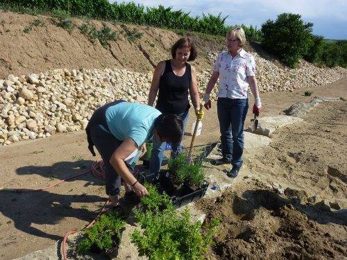 sds0711_4.jpg sds0711_4.jpg