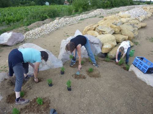 sds0711_5.jpg sds0711_5.jpg