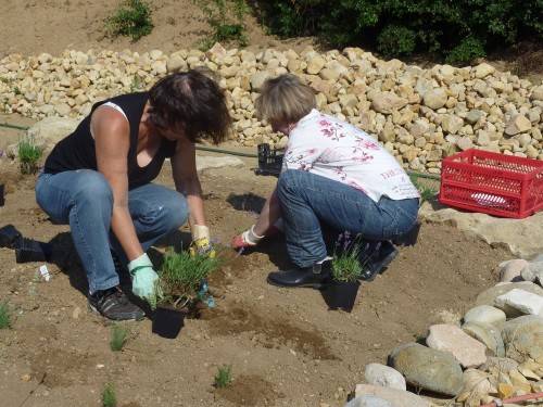 sds0711_6.jpg sds0711_6.jpg