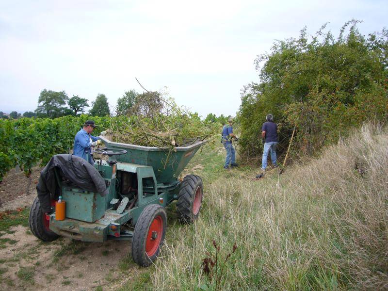 wj0108.jpg