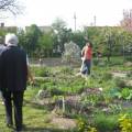garten.jpg